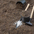 Plant Food for Thought: A Guide to Fertilization