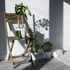 From Dull to Dazzling: Your All-in-1 Plant Lighting Guide