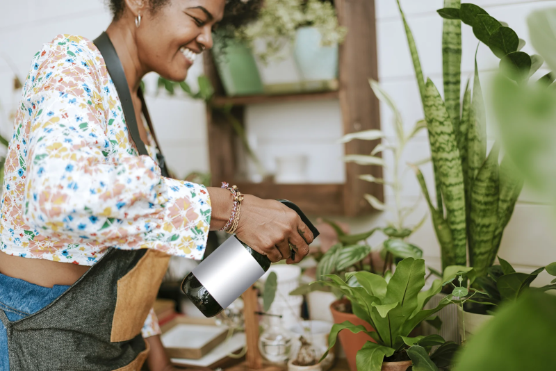 No More Underwatering and Overwatering Your Plants