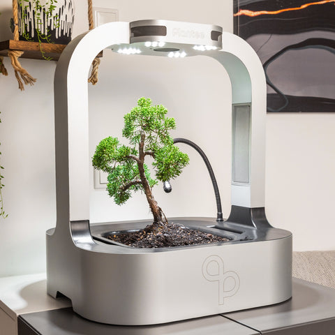 Plantee ONE - the Smart Indoor Greenhouse