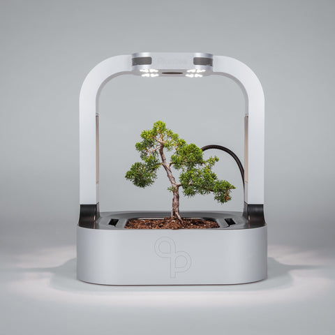 Plantee ONE - the Smart Indoor Greenhouse