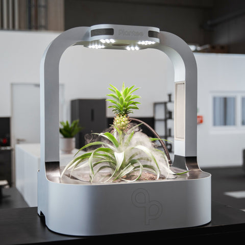 Plantee ONE - the Smart Indoor Greenhouse