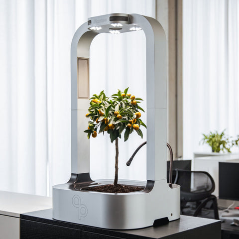 Plantee ONE - the Smart Indoor Greenhouse